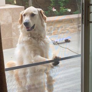 Meet your Posher, Sharif